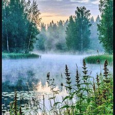 Cross stitch pattern: #2903367