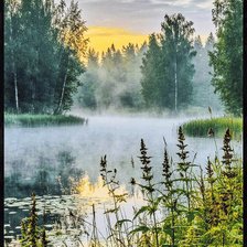 Cross stitch pattern: #2903369