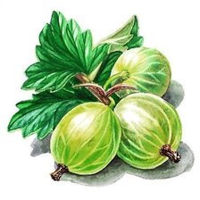 Cross stitch pattern: #2903428