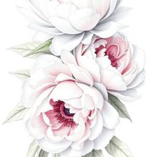 Cross stitch pattern: #2904511