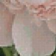 Preview of cross stitch pattern: #2905357