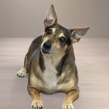 Cross stitch pattern: #2905831