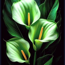 Cross stitch pattern: #2905861