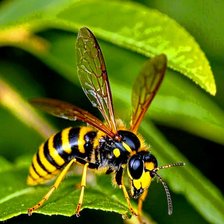 Cross stitch pattern: #2906541