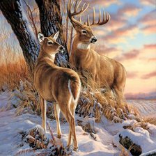 Cross stitch pattern: #2907133