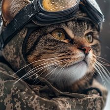 Cross stitch pattern: #2907683