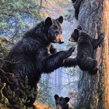 Cross stitch pattern: #2908350