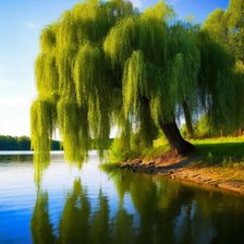 Cross stitch pattern: #2908644