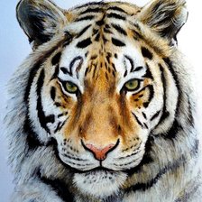 Cross stitch pattern: #2909360