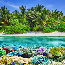 Cross stitch pattern: #2910484