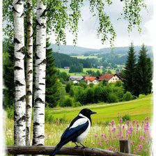 Cross stitch pattern: #2911341