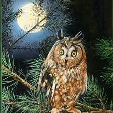 Cross stitch pattern: #2911377