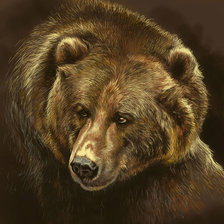 Cross stitch pattern: #2911439