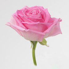 Cross stitch pattern: #2911841