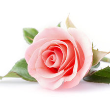 Cross stitch pattern: #2911842