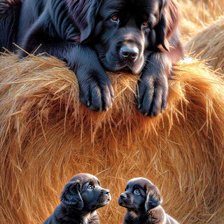 Cross stitch pattern: #2912088