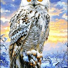 Cross stitch pattern: #2912114