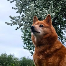 Cross stitch pattern: #2912199