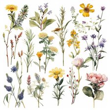 Cross stitch pattern: #2912416