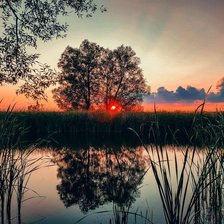 Cross stitch pattern: #2912452