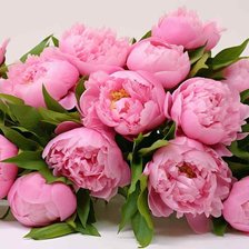 Cross stitch pattern: #2912531