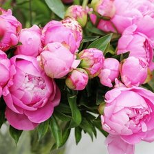 Cross stitch pattern: #2912535