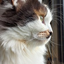 Cross stitch pattern: #2912566