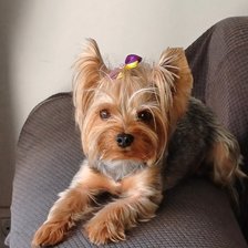 Cross stitch pattern: #2912977