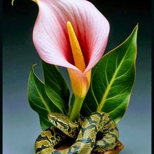 Cross stitch pattern: #2912987