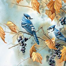 Cross stitch pattern: #2913148