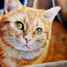 Cross stitch pattern: #2913186