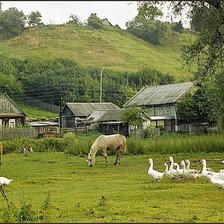 Cross stitch pattern: #2913198