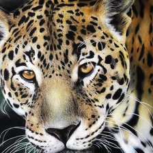 Cross stitch pattern: #2913246