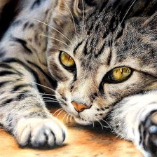 Cross stitch pattern: #2913247