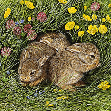 Cross stitch pattern: #2913249