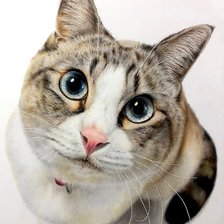 Cross stitch pattern: #2913250