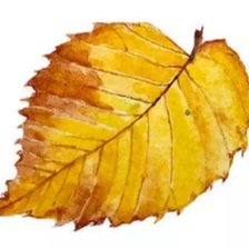 Cross stitch pattern: #2913603