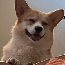 Cross stitch pattern: #2914109