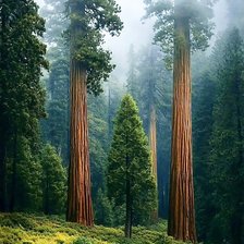 Cross stitch pattern: #2914172