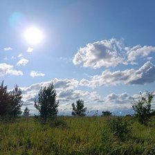 Cross stitch pattern: #2914373