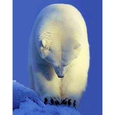 Cross stitch pattern: #2914542