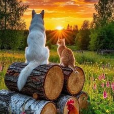 Cross stitch pattern: #2914689