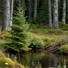 Cross stitch pattern: #2914712