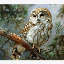 Cross stitch pattern: #2914861