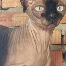 Cross stitch pattern: #2915155