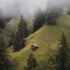 Cross stitch pattern: #2915188