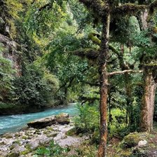 Cross stitch pattern: #2915189