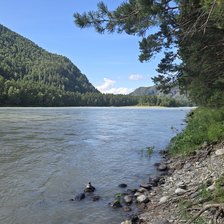 Cross stitch pattern: #2915207