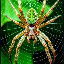 Cross stitch pattern: #2915591