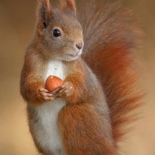 Cross stitch pattern: #2915984